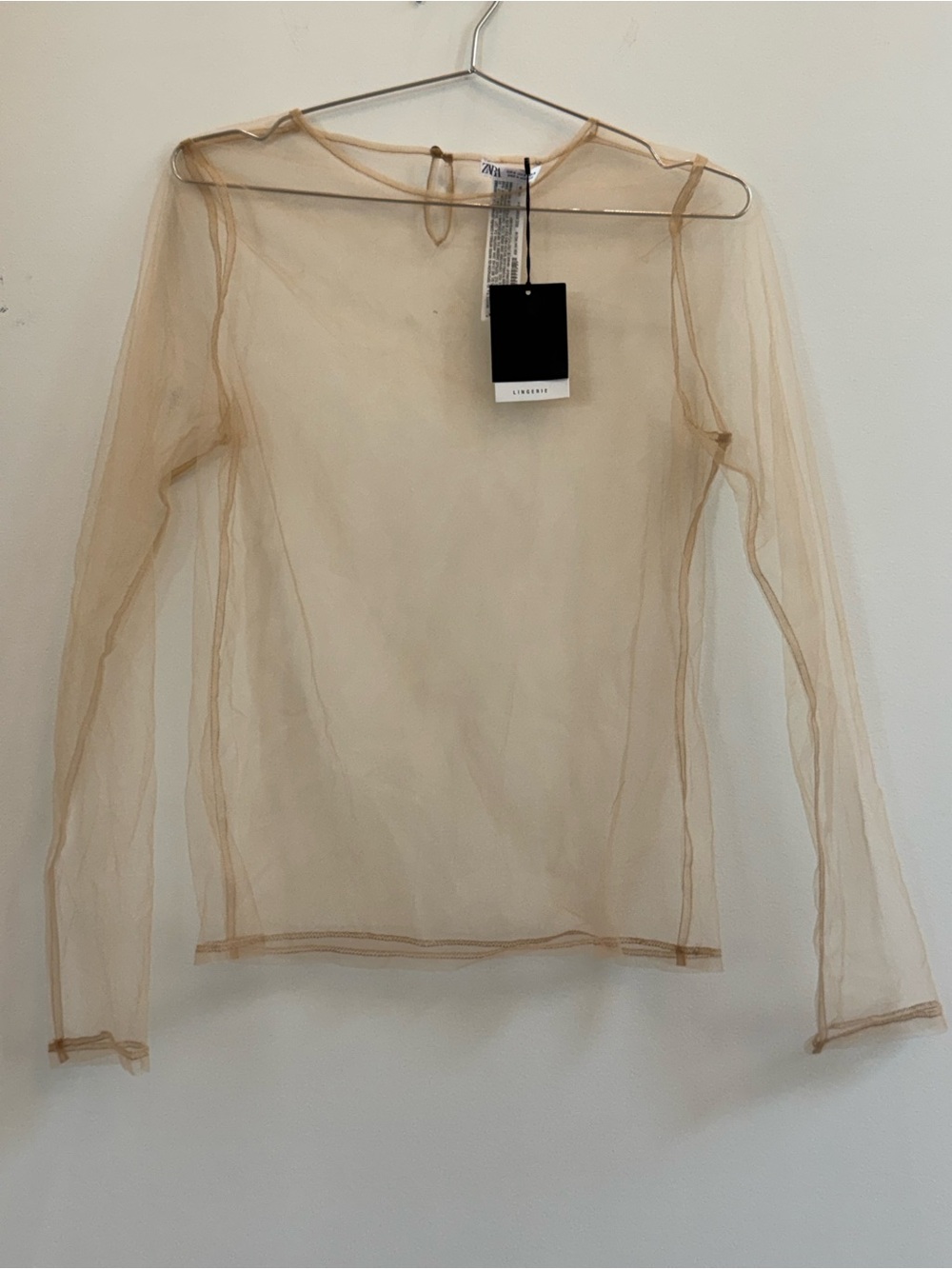 Zara Sheer Long Sleeve Mesh Top in Beige